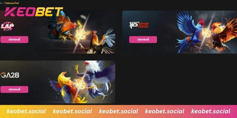 ถ่ายทอดสดไก่ชน เดิมพันได้แบบเรียลไทม์