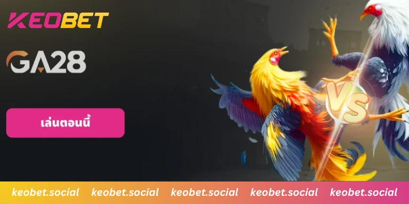 วิเคราะห์แม่นยำด้วย Roadmap และดูพร้อมกัน 4 จอ