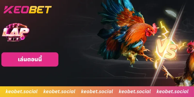 เดิมพันลื่นไหลไม่มีสะดุดด้วยระบบ Low Latency