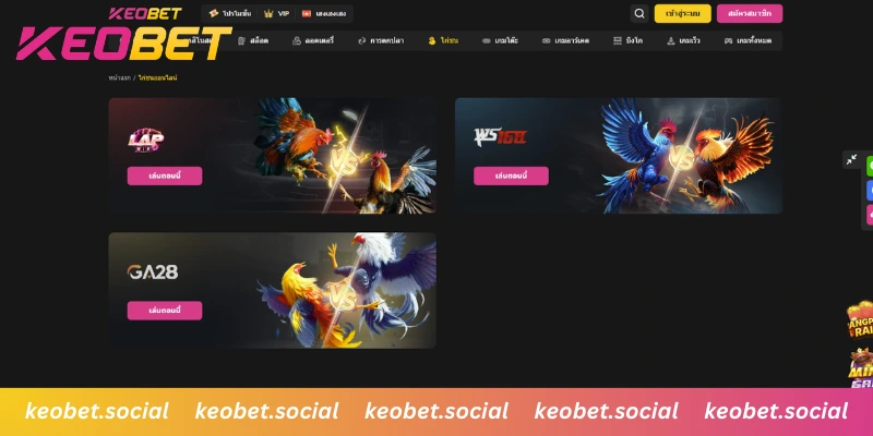 สัมผัสความล้ำสมัยของระบบเดิมพันระดับสากล