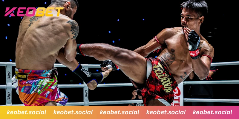 รูปแบบเดิมพันมวยที่หลากหลายสำหรับทุกคน