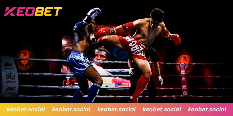 สนามมวยมาตรฐานพร้อมมุมมองที่สมจริง