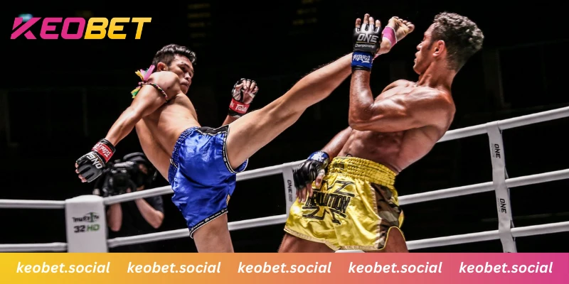 วิเคราะห์ฟอร์มนักมวยเพื่อเพิ่มโอกาสชนะ