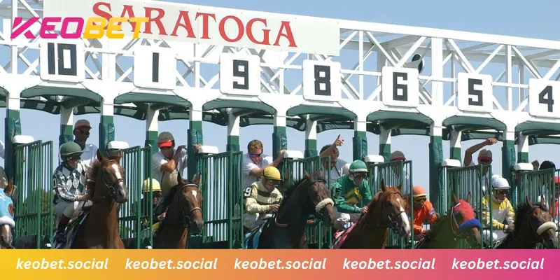 แนะนำการอ่านค่าเทคนิคบนกระดานราคาอย่างละเอียด