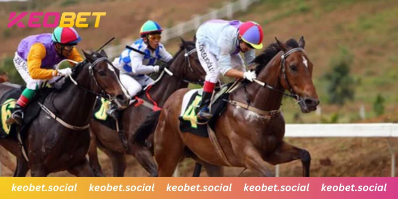 เลานจ์แข่งม้าออนไลน์ที่เป็นมืออาชีพและโปร่งใส